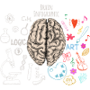 Infografik Gehirn Brain Infographic