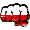 Poland flag fist used
