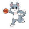 Chat Handball Joueur Handball