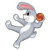 Lapin Handball Joueur Handball
