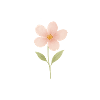 file_00000000240461f7995ea5f099190306