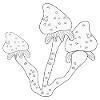 Pilze Speisepilze