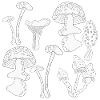 Mushroom picking autumn