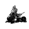 Quad