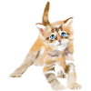 Chaton aquarelle aux yeux bleus