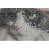 Cat Portrait Mosaic