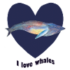 Whale Heart