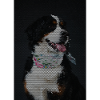 Mosaik Hund mit bunter Halskette