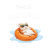 I'm Hamstar Hamster with Sunglasses