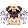 Hearty Pug Angel Christmas Halo
