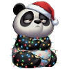 Funny Panda Christmas Fairy Lights Grumpy