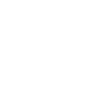 Citation de Thomas Pynchon