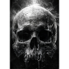 Cracked Skull in Smoky Haze