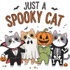 Just a Spooky Cat