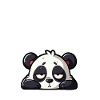 Sleeping Panda Barely Awake