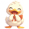 Ducks Duck