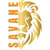 Lion doré 