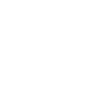 Totenkopf / Skull