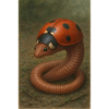 Ladybug and earthworm