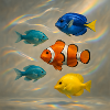 Poisson flottant