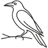 Raven Sketch – Creepy Halloween Motif
