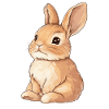 Hase