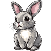 Hare