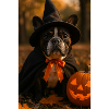 Halloween Dog in Witch Costume
