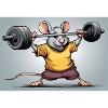 Power mouse during strength training