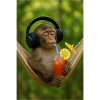 Jungle Break Music Enjoyment