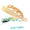 Chamäleon der Algarve bunte Illustration