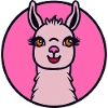 Lama rose