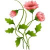 Fleur
