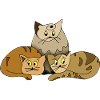 Cats
