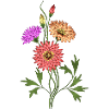 Fleur