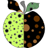 apple