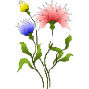 Fleur