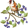 Bunter Vogel