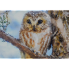 Forêt hibou portrait aquarelle