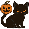Black Cat with Halloween Pumpkin