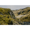 Hill Country Impression Backdrop