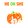 Gender Reveal Halloween Mom-to-be