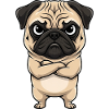 Pug Cartoon Grumpy Sour Annoyed Cute