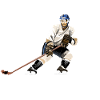 Eishockey Stürmer im Einsatz