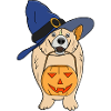 Pumpkin Witch Dog