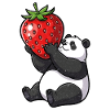 Panda Strawberry Friend Sticker