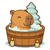 ✨ Wellness Capybara – Noël