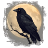 Dark Raven before Full Moon