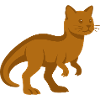 Trex Katze Dinosaurier