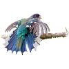 Bunter Vogel im Flug auf Ast